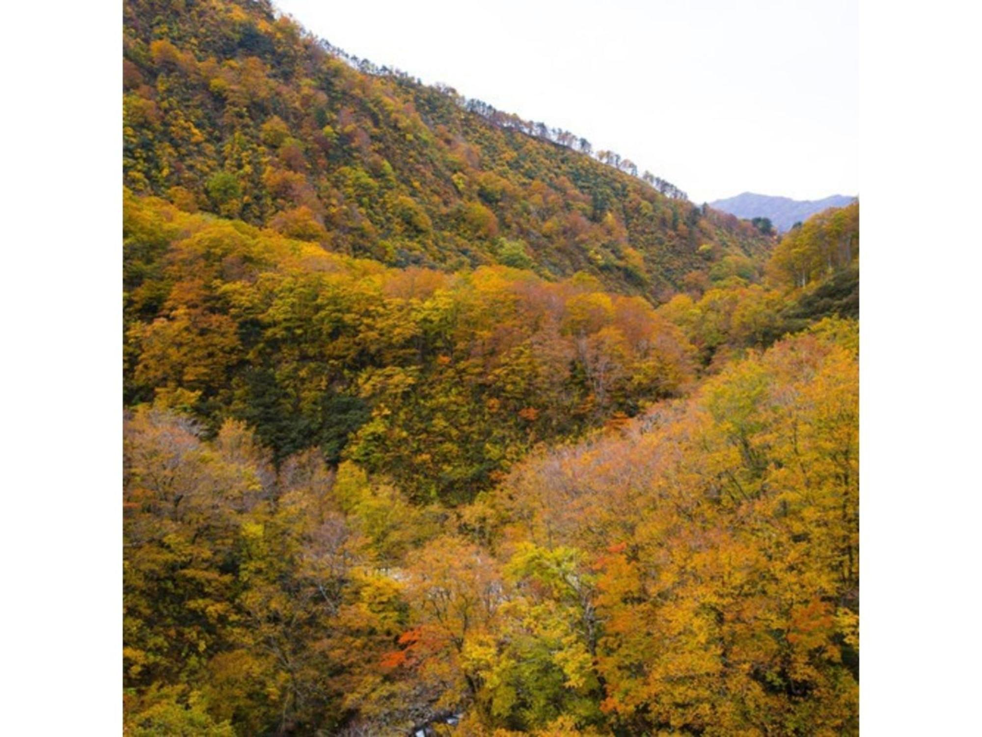 Shintainai Onsen Royal Tainai Park Hotel - Vacation Stay 90212V Luaran gambar