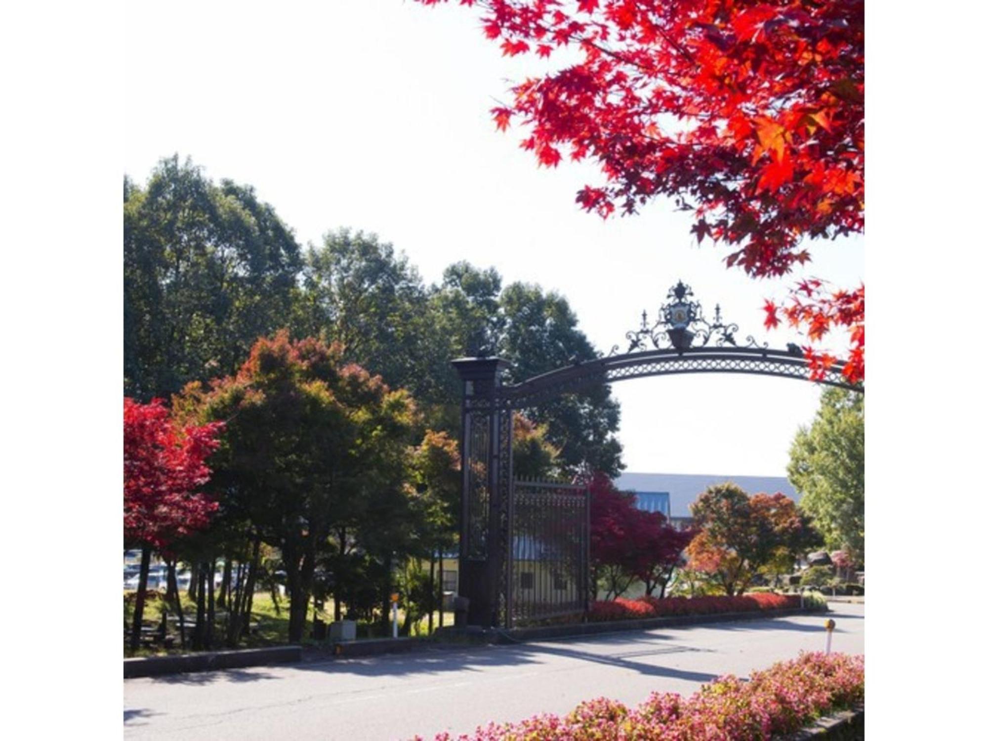 Shintainai Onsen Royal Tainai Park Hotel - Vacation Stay 90212V Luaran gambar